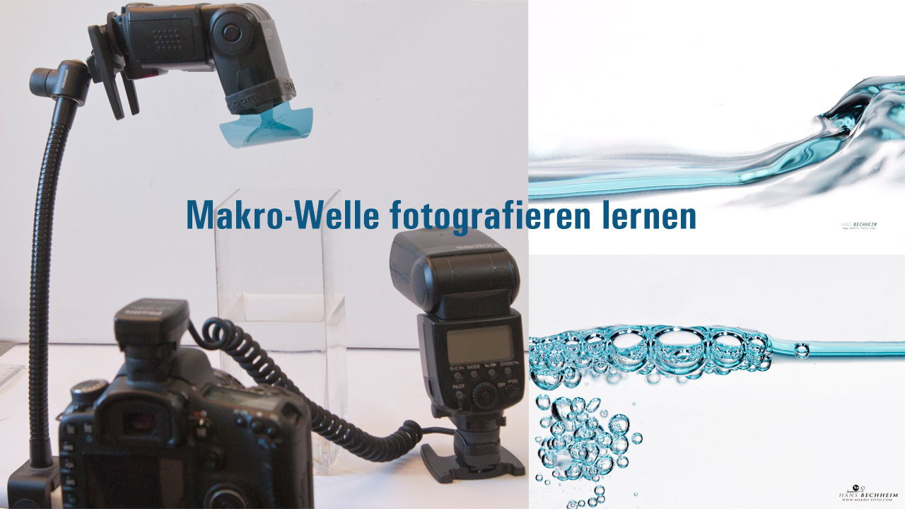fotografieren lernenb, Video, exklusiv, Videotraining, Tutorial, Makrofotografie Beschreibung